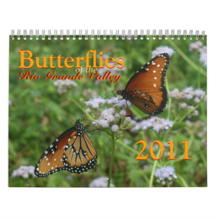 Calendrier Papillons de la vallée du Rio Grande