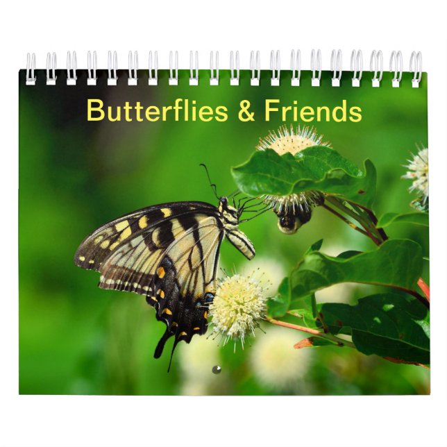 Calendrier Papillons et amis (Protection)