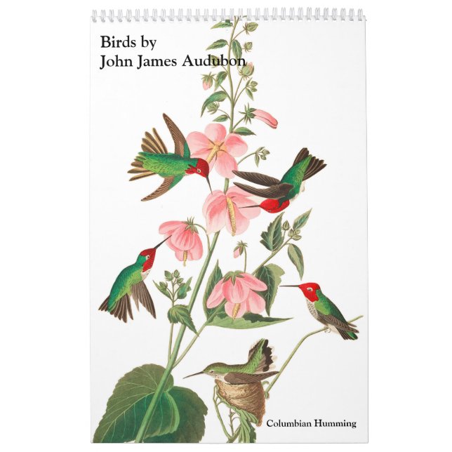 Calendrier par John James Audubon (Protection)