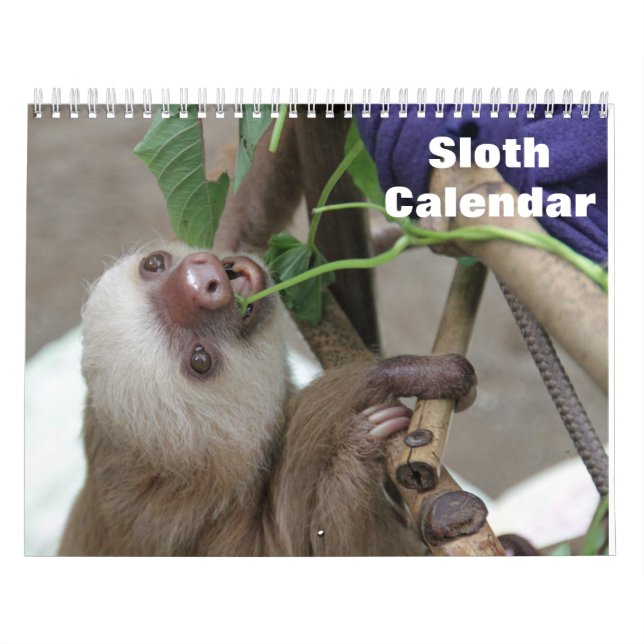 Calendrier Paresseux 2027 (Protection)