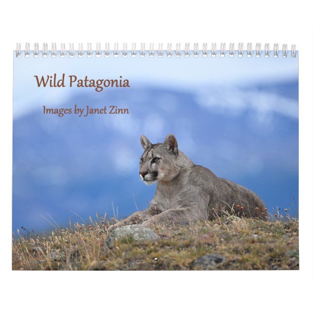 Calendrier Patagonie sauvage : Pumas et faune (Protection)
