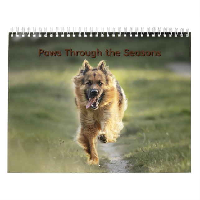 Calendrier Paws Through the Seasons Calendar (Protection)