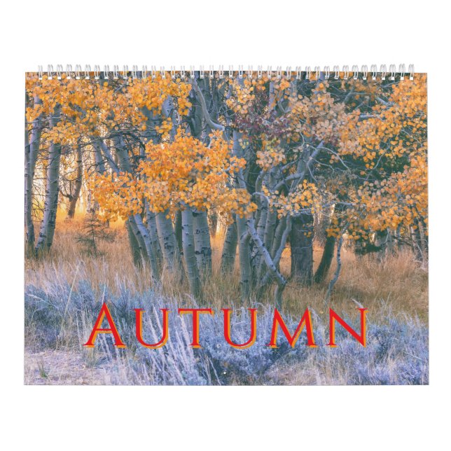 Calendrier Paysages d'automne (Protection)