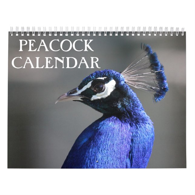 Calendrier Peacock 2025 (Protection)