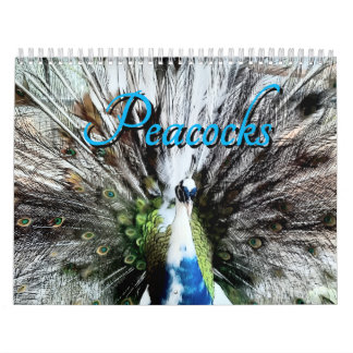 Calendrier Peacock Calendar