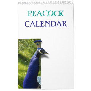 Calendrier Peacock coloré 2025