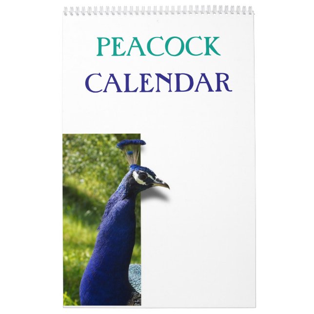 Calendrier Peacock coloré 2025 (Protection)
