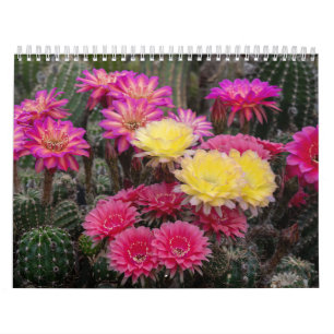 Calendrier Peinture à fleur de cactus