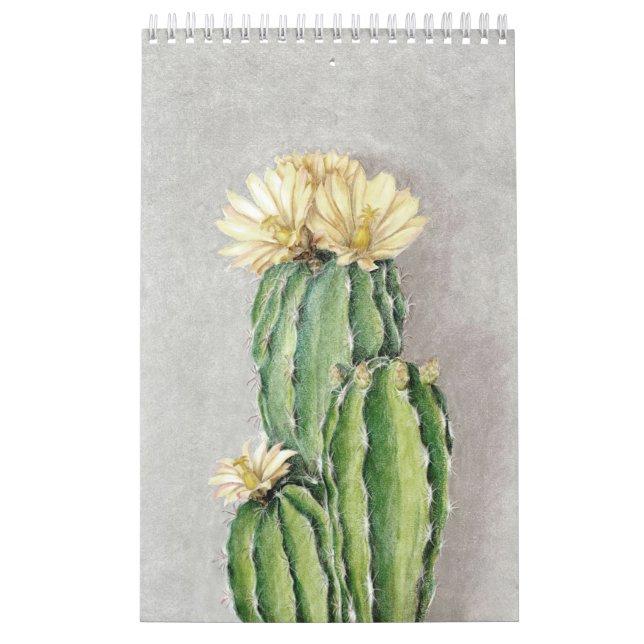 Calendrier Peinture à fleur de cactus (Protection)