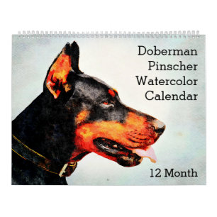 Calendrier Peinture aquarelle de chien Doberman Pinscher 12 m