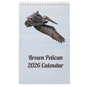 Calendrier Pélican Brown 2025