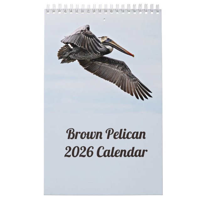 Calendrier Pélican Brown 2025 (Protection)
