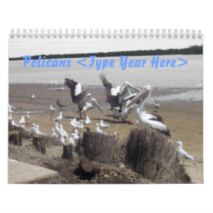Calendrier Pélicans