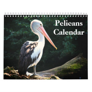 Calendrier Pelicans Bird 2025