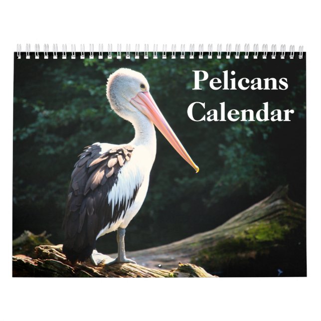 Calendrier Pelicans Bird 2025 (Protection)