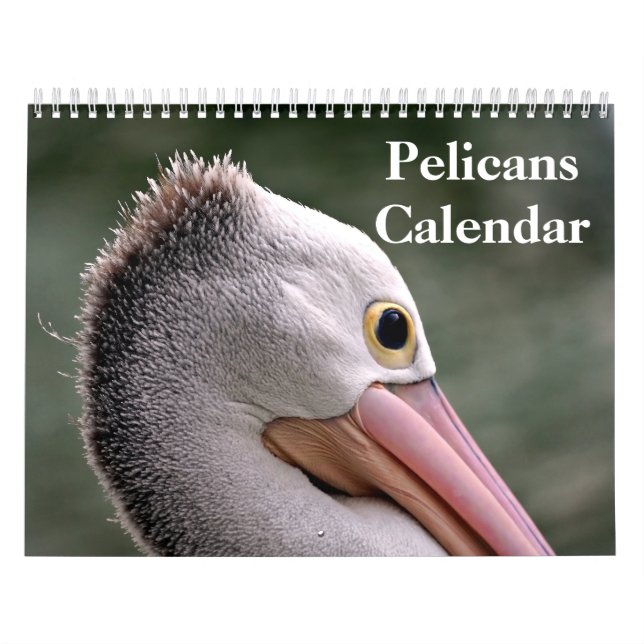 Calendrier Pelicans Bird 2025 (Protection)