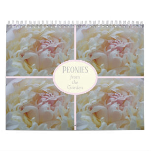 Calendrier Peonies de mon jardin