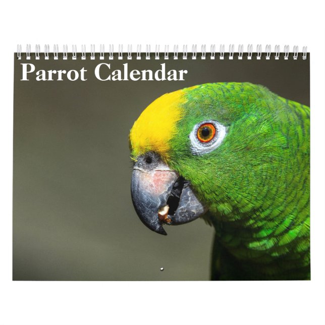 Calendrier Perroquet 2027 (Protection)