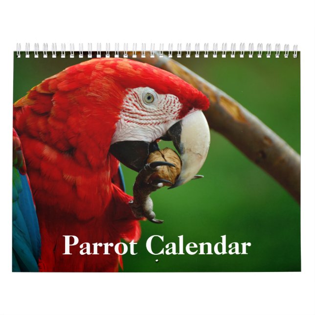 Calendrier perroquet 2027 (Protection)
