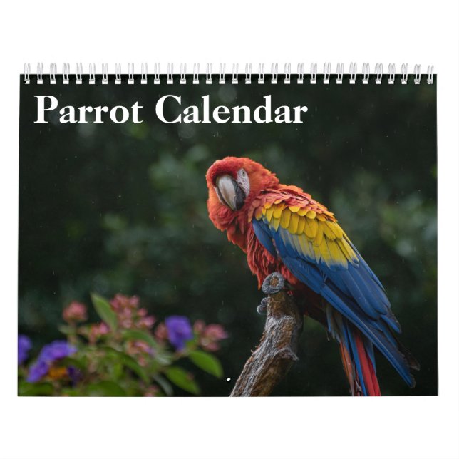 Calendrier perroquet 2027  (Protection)