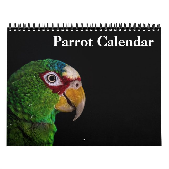 Calendrier Perroquet 2027 (Protection)