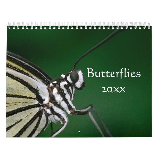 Calendrier personnalisable Papillons (Protection)