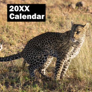 Calendrier personnalisé d'animaux qui défèquent 20