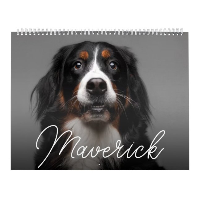 Calendrier personnalisé de chien de compagnie écri (Protection)