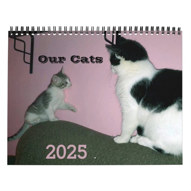 Calendrier personnalisé de nos chats (Protection)