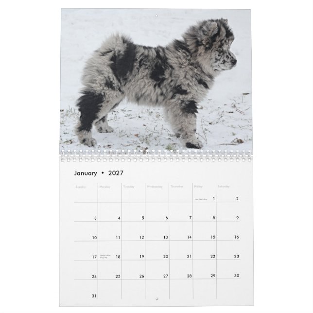 Calendrier personnalisé Sophia 2015 (Jan 2027)