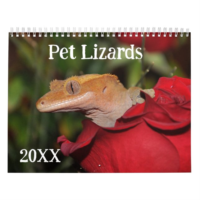 Calendrier Pet Lizards (Protection)