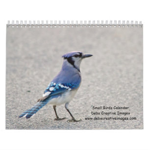 Calendrier Petits oiseaux 2026