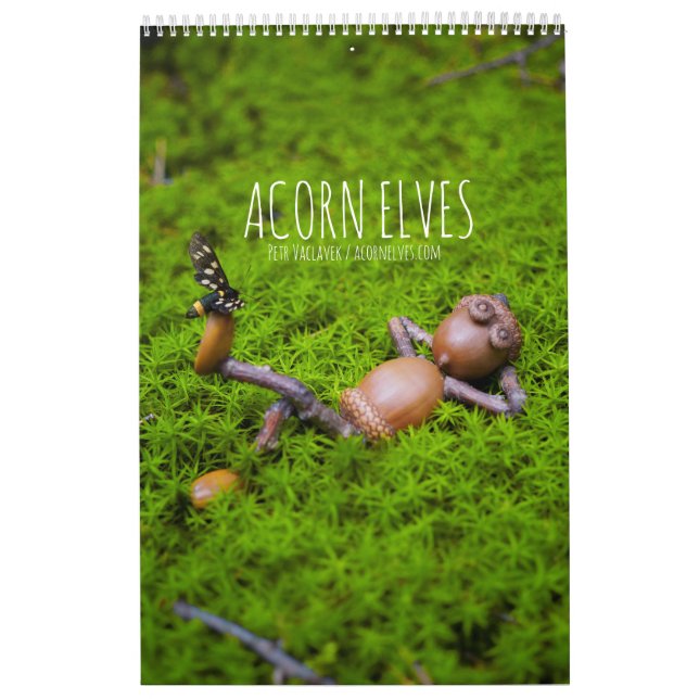 Calendrier photo Acorn Elves / Dubanci (Protection)