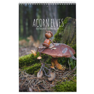 Calendrier photo Acorn Elves / Dubanci