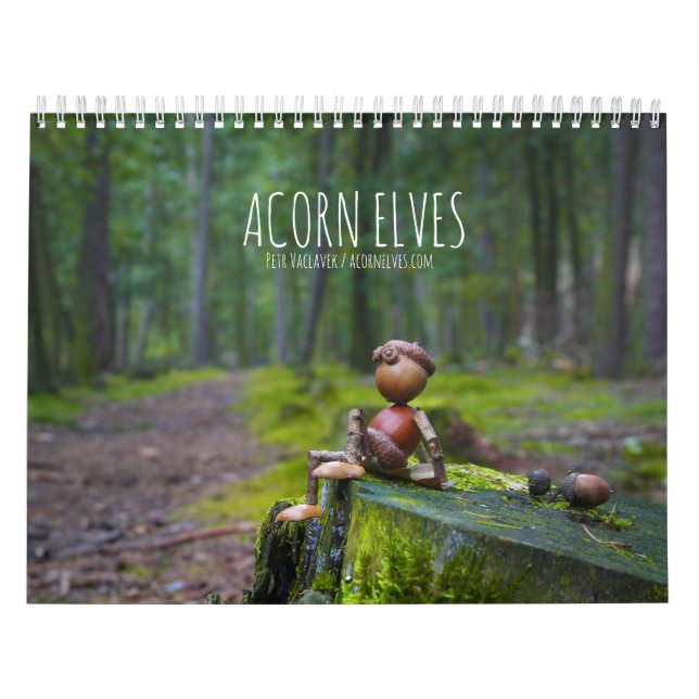 Calendrier photo Acorn Elves / Dubanci (Protection)