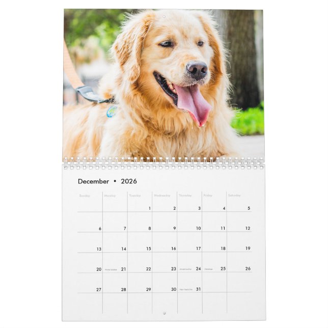 Calendrier Photo Animaux de compagnie 2025 Calender (Dec 2026)