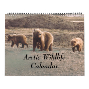 Calendrier Photo arctique chique de l'Alaska de faune conçue