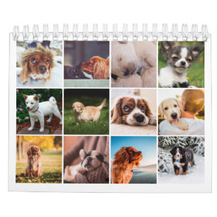 Calendrier photo avec chiot petit