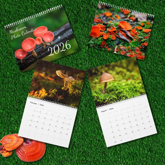 Calendrier Photo Champignon Enchanté 2026 (Créateur téléchargé)