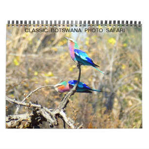 CALENDRIER PHOTO CLASSIQUE BOTSWANA SAFARI