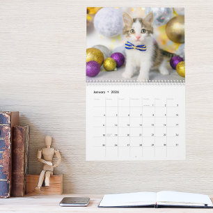 Calendrier Photo de chat mignon C'est la vie de chat 2026