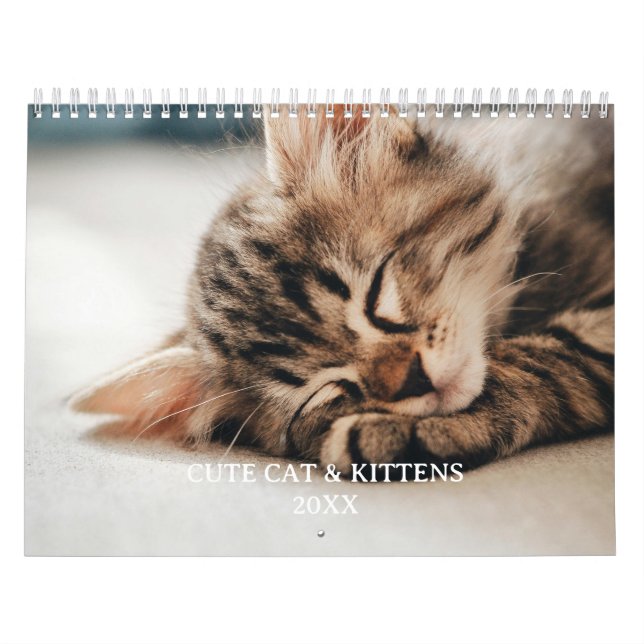 Calendrier Photo de chaton et chat mignon (Protection)