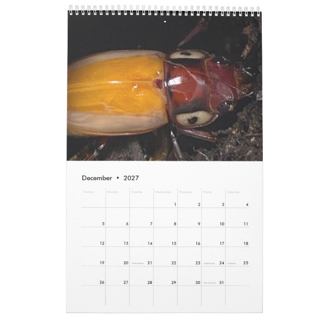 Calendrier Photo de l'artiste (Dec 2027)