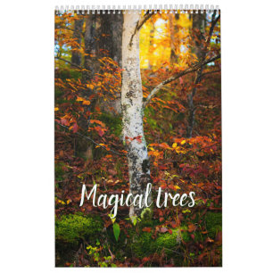 Calendrier photo de paysage d'arbres magiques