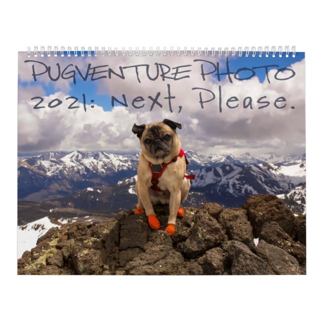 Calendrier photo de Pugventure 2021 : Ensuite, S'I (Protection)