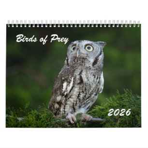 Calendrier photo de rapaces incroyables 2026