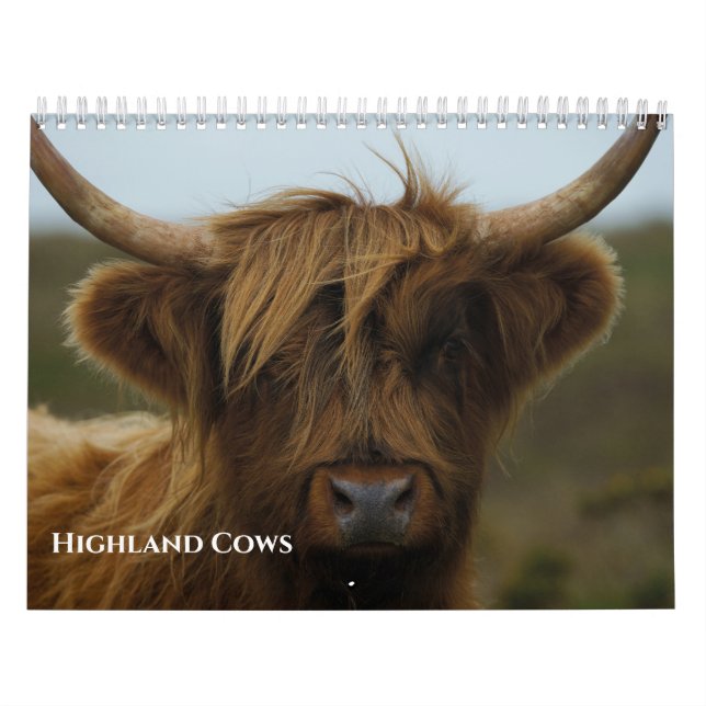 Calendrier Photo de vache Highland adorée 2027 (Protection)
