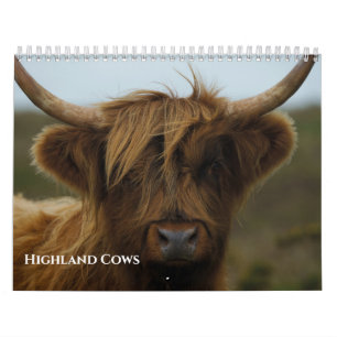 Calendrier Photo de vache Highland adorée 2027