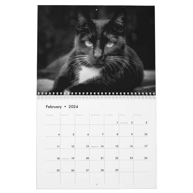 Calendrier Floral 2024, Calendrier Mural Chats Dans L'art 2024, Calendrier  Mural Chats Floral 2024, Calendrier Chat 2024, Cadeaux De Noël Amoureux Des  Chats