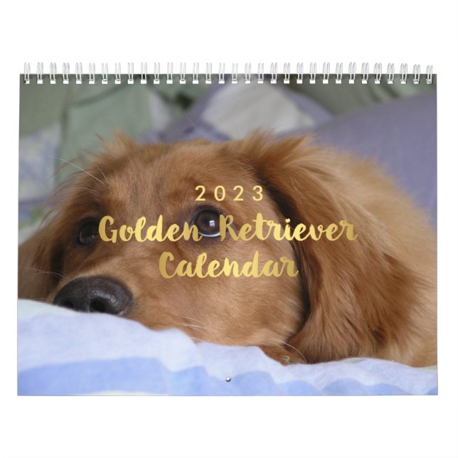 Calendrier Photo Golden Retriever Calendar 2023 (Protection)